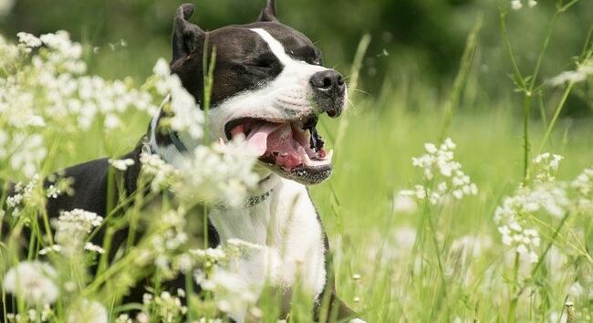 Zivatar, szél vagy napsütés? Mutatjuk, milyen idő várható március 23-án, hétfőn
