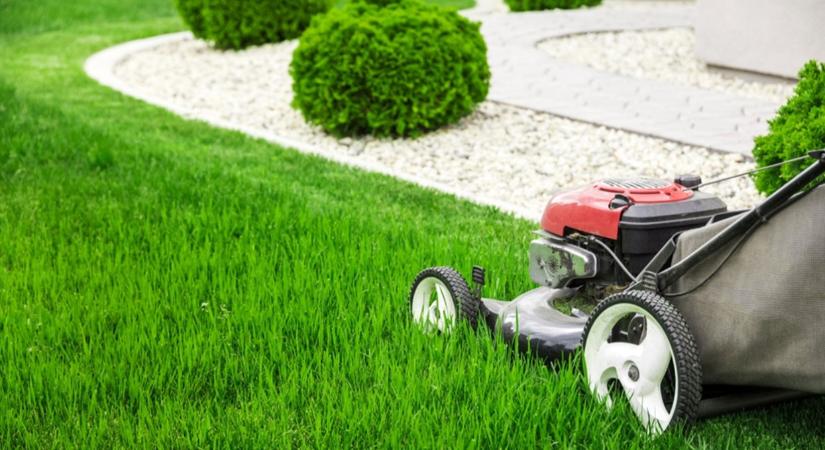 Milyen fűnyíró kell nagyobb kertbe vagy gazdaságba?