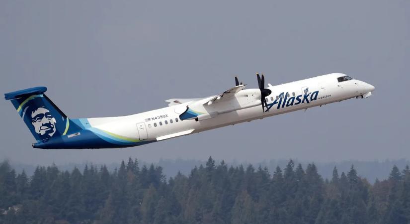 Ellopta az utasszállító repülőgépet, majd szándékosan lezuhant vele