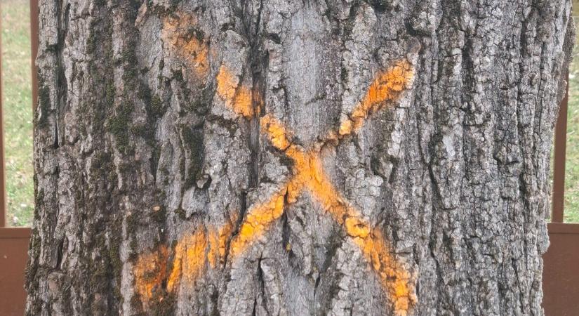 Életveszély a Balatonnál