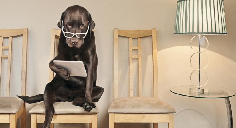 Kvíz: Lássuk, mennyire profi a helyesírásod!