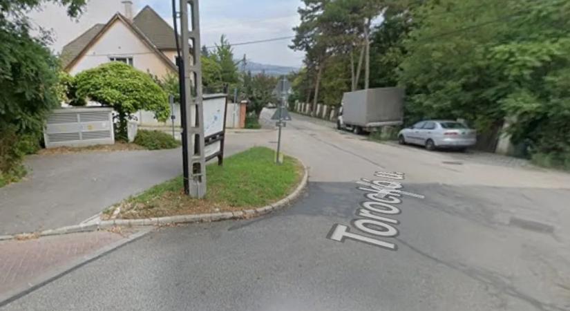 Felháborító: óvoda mellett árulják magukat a prostik Kamaraerdőn