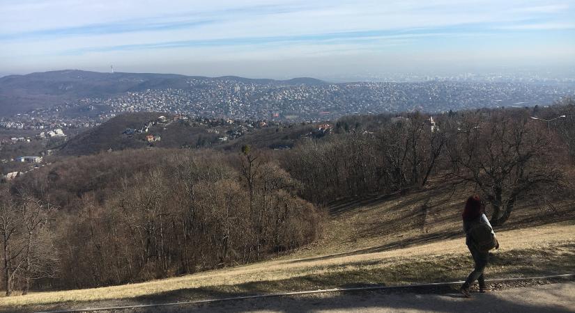 Máris szenved a Normafa: komoly figyelmeztetés jött a kirándulóknak