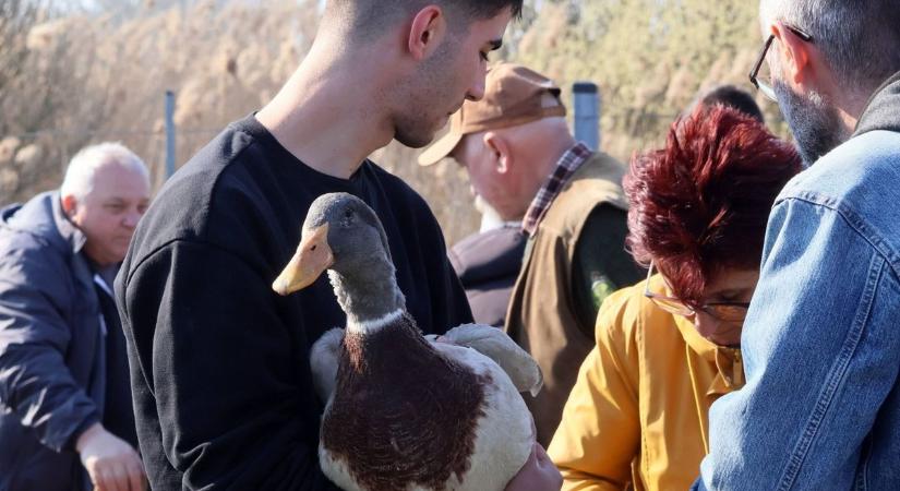 Ezreket vonzott a dunaföldvári vásár