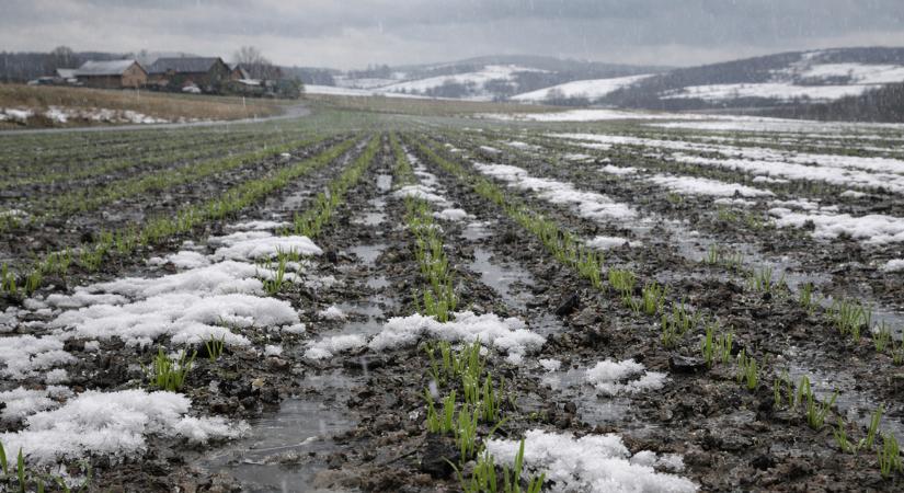 Véget érhet a héten az aszály, de nagy árat fizethetünk érte