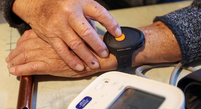 Új mobilalkalmazás a Gondosórához