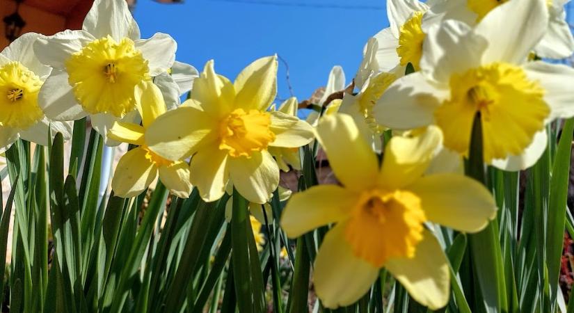 Hűvösebb, csapadékosabb, szelesebb idő várható a héten