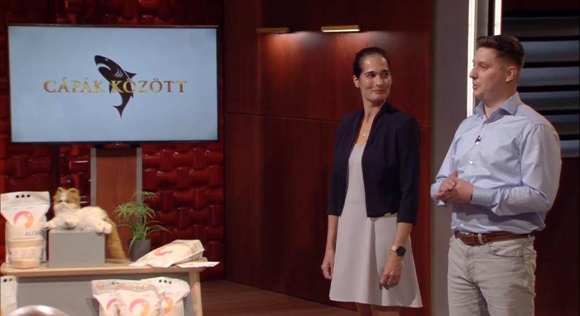 Életmentő macskaalom a Cápák közöttben: azonnal jelez, ha gond van a kedvenceddel