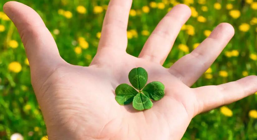 6 csillagjegy életébe berobban a szerencse: a következő 11 nap mindent átír