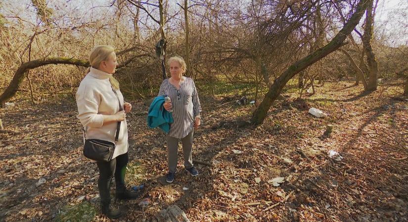 Sátorból lakásba: Béres Márta 13 év hajléktalanság után kezdett új életet