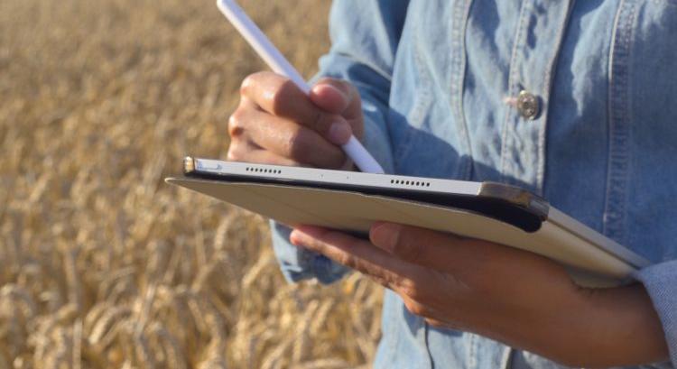 NAV-útmutató segíti a gazdákat