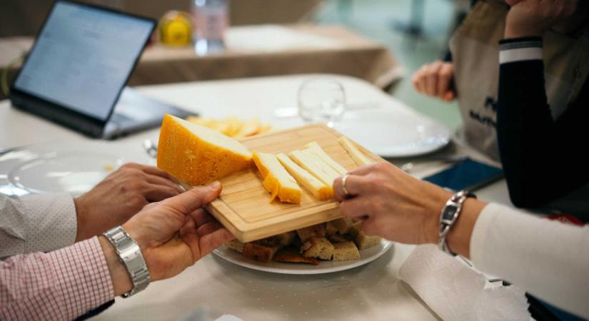 Kárpát-medencei Sajtmustra Csíkszeredában: a magyar és székely sajtkészítők egy család