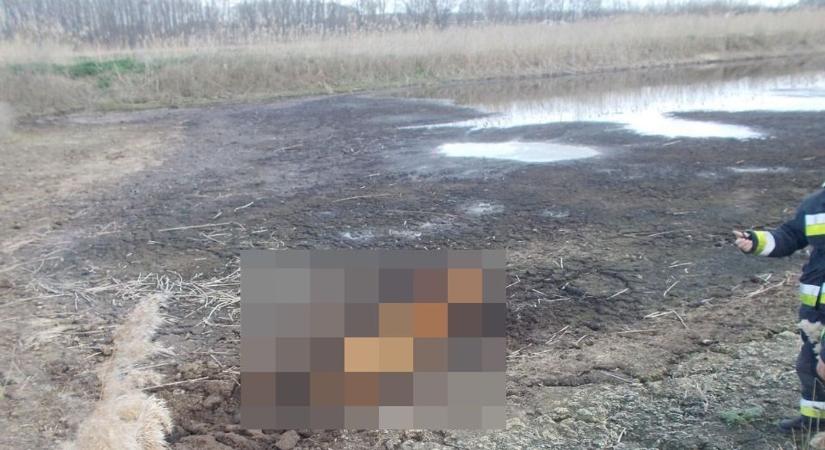 Fotókon a mentés: így küzdöttek a tűzoltók egy ártatlan életért Hajdú-Biharban!