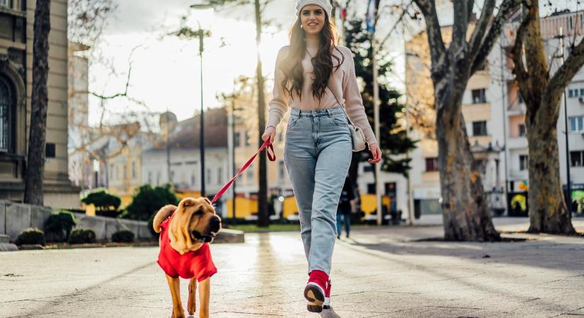 Egy kutyaév tényleg hét emberi évnek felel meg? A 6 leggyakoribb kutyás mítosz, ami valójában hamis