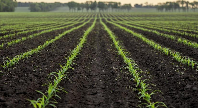 Hubai Imre: Évente 3–5 centit veszítünk a talajvízből