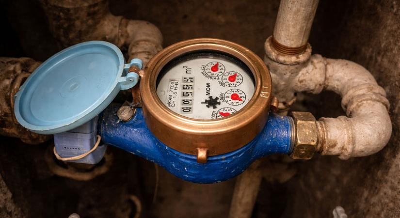 A vízóraaknák fogságába került békák megmentésére kéri a lakosságot az MME