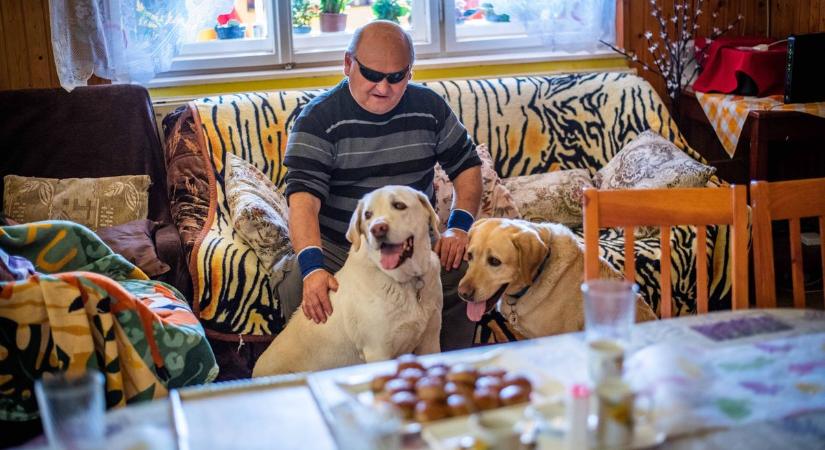 Nyugdíjba ment a borsodi hős vakvezető kutya - képekkel