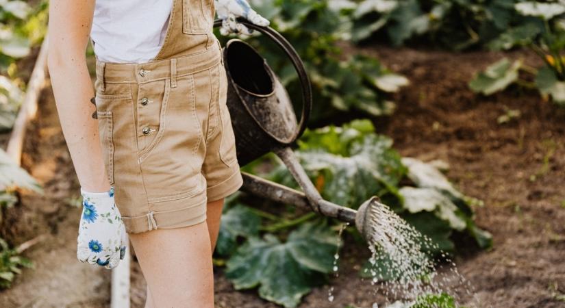 Mindenhol jó, de legjobb otthon kertészkedni – Debrecenben tanácsot is kapunk hozzá