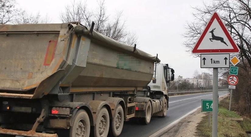 Egyre több a vadbaleset az utakon – ez az oka és így lehet elkerülni őket!