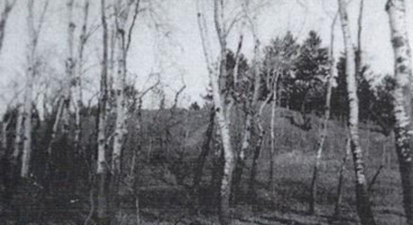 Ma már nyoma sincs, de egykor innen dördültek a viharágyúk – a Strázsahegy elfeledett története