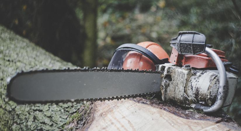 ErdőLab konferenciát tartottak a Soproni Egyetemen