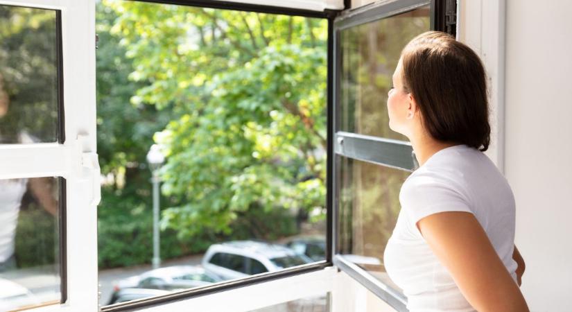 Ezért nem ajánlott tavasszal 11 és 16 óra között ablakot nyitni