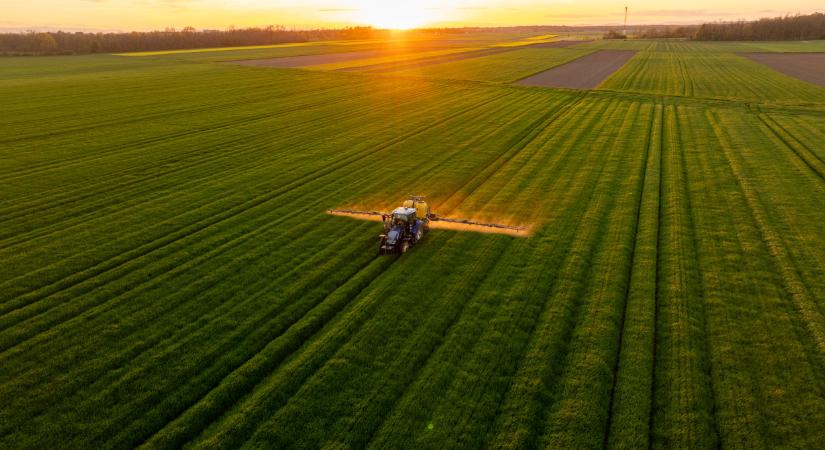 Óriási veszélyben van itt a termés: sok gazda lemondhat a kukoricáról