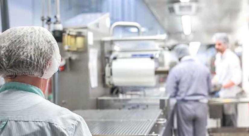 1170 milliárd forint az élelmiszeriparnak: mutatjuk, hova ment a rengeteg pénz