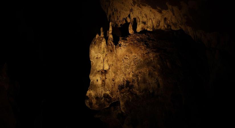 Bizarr lény bukkant fel Kína eldugott hegyeiben, rejtélyes állatkert rejti az ijesztő titkot