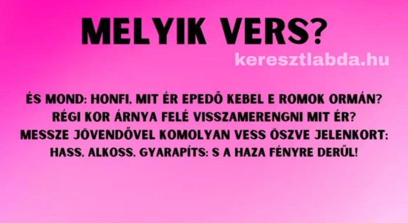 Napi irodalom feladat: Kínos, ha nem vágod ezt a 4 verssort!