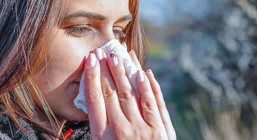 Bajban vannak az érzékenyek – Tömegével van jelen ez a pollen