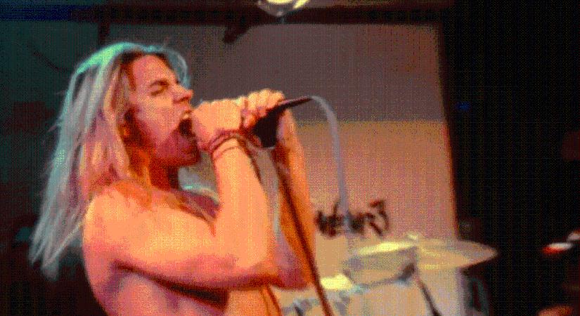 A Red Hot Chili Peppers felemelkedése: Testvérünk, Hillel: Barátság, káosz, zene (kritika)