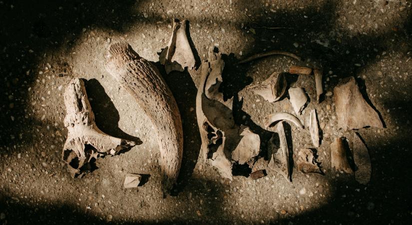 Teljes döbbenet: 3000 éves női múmiát tártak fel Egyiptomban