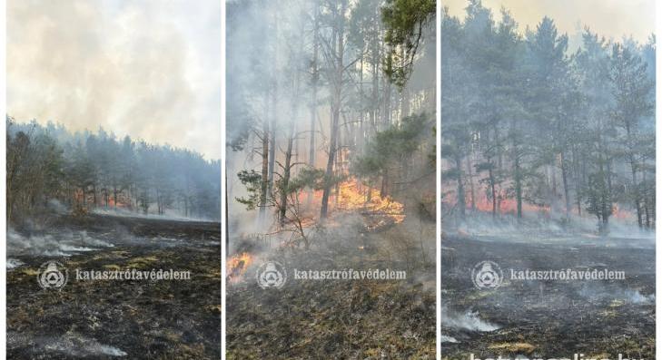 Vegetációs-, és lakástüzek a hétvégén 