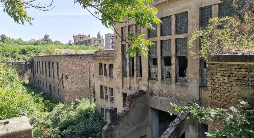 Pécs ikonikus helye lett szellemváros – döbbenetes fotók