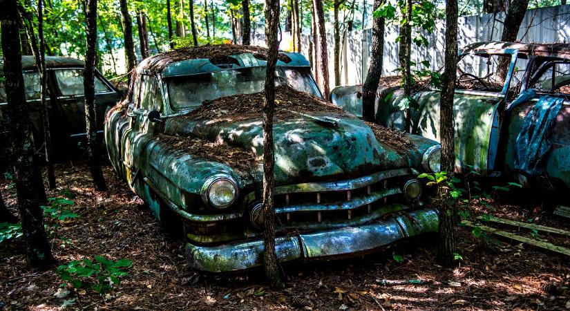 Ez az erdő tele van elhagyott autókkal – sokkoló a látvány