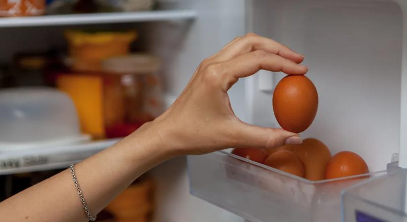 Egyre nagyobb a baj Európában: szennyezett ukrán tojás jut a háztartásokba, semmit sem tudunk tenni ellene