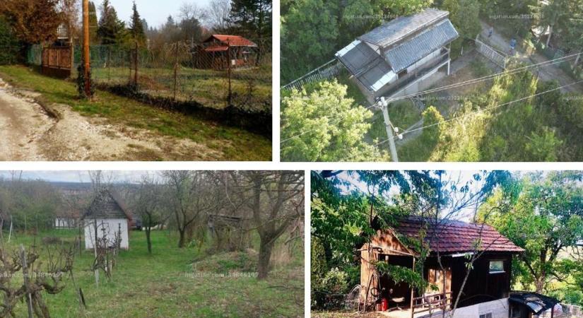 Felpörgés alatt a zártkertek piaca