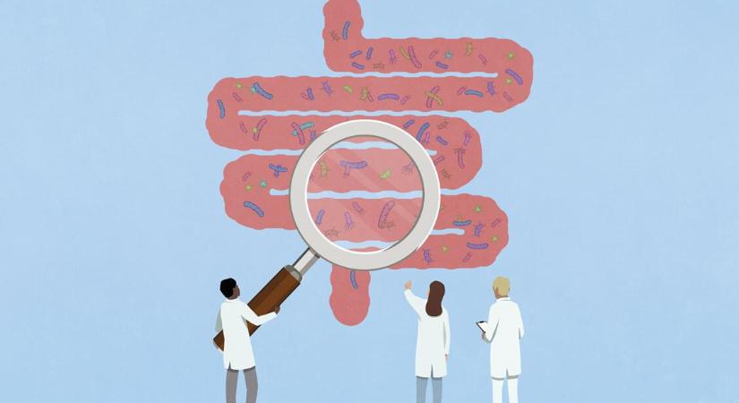 Kvíz: minden baktérium káros. Igaz vagy hamis? – Tedd próbára a tudásod!