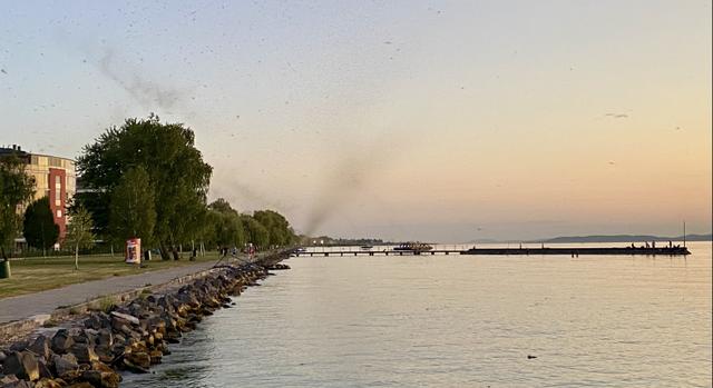 Életveszélyes helyzet alakult ki a Balatonnál: így oldják meg