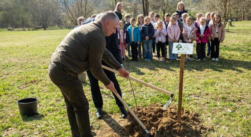 Erdők világnapja: újabb „év fájával” bővült az időspirál