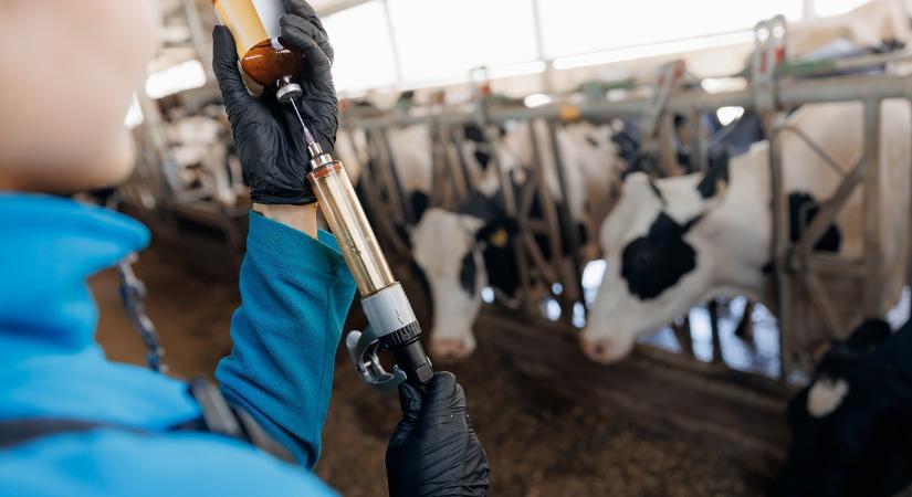 Készülj fel: nem tartható tovább ez a "régi reflex" az állattelepeken