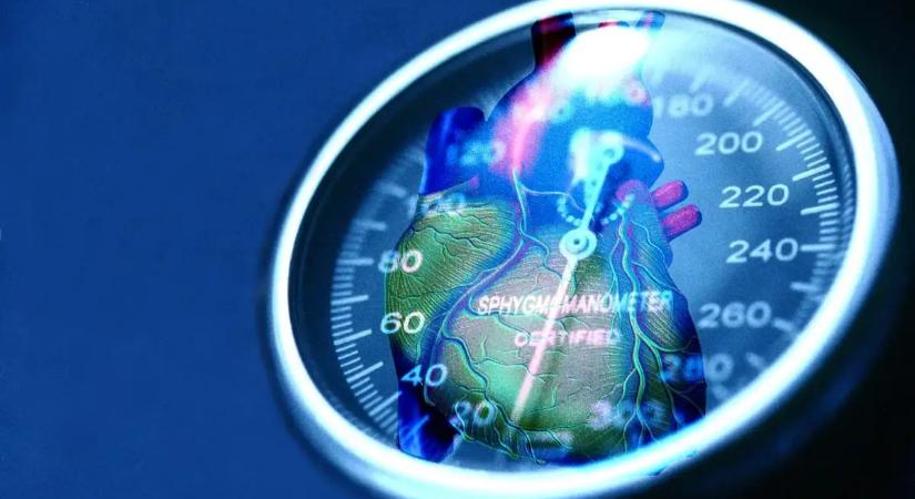 Megvan a magas vérnyomás kikapcsológombja? Kiderült, mi jelentheti a megoldást