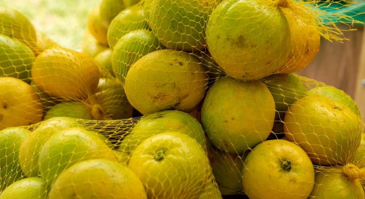 A gyümölcsháló is lehet környezetvédelmi kockázat