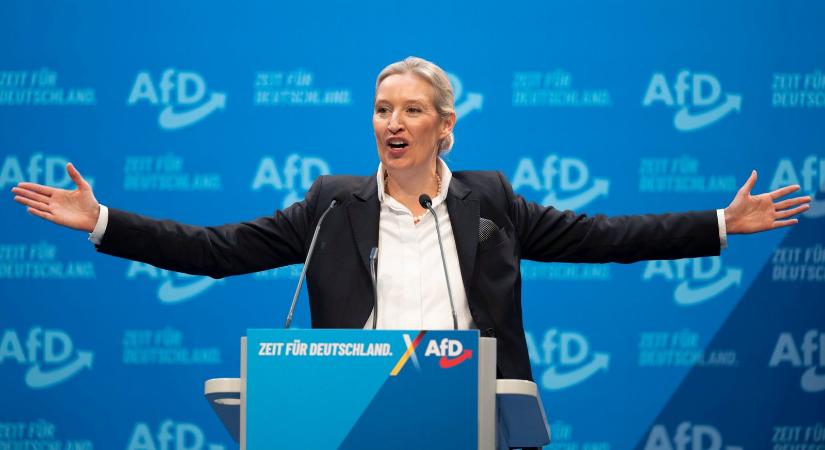 Rekorderedményt ért el az AfD Nyugat-Németországban