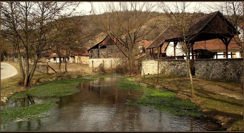 Ájer, csilánt, pecu: tudod, mit jelentenek ezek a tájszavak?