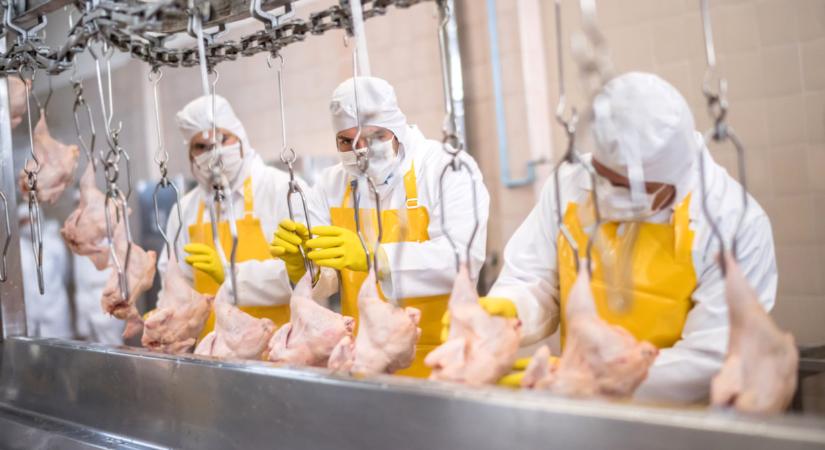 Rengeteg pénzt osztottak szét itthon: lecsaptak rá a hazai vállalkozások