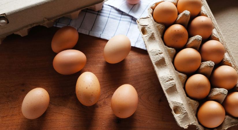 Ezt nézd meg a tojás héján a boltban, mielőtt megveszed – Sokan itt rontják el