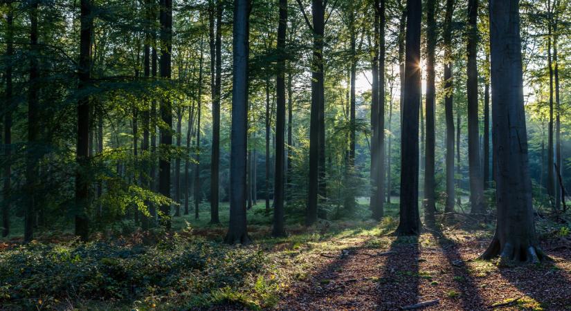 Váratlan lista jött Európáról: durván az élre tört az egyik szomszédunk