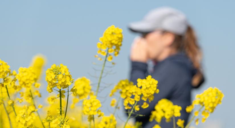 Egyre durvább a helyzet, 4 magyar nagyváros lakói vannak veszélyben